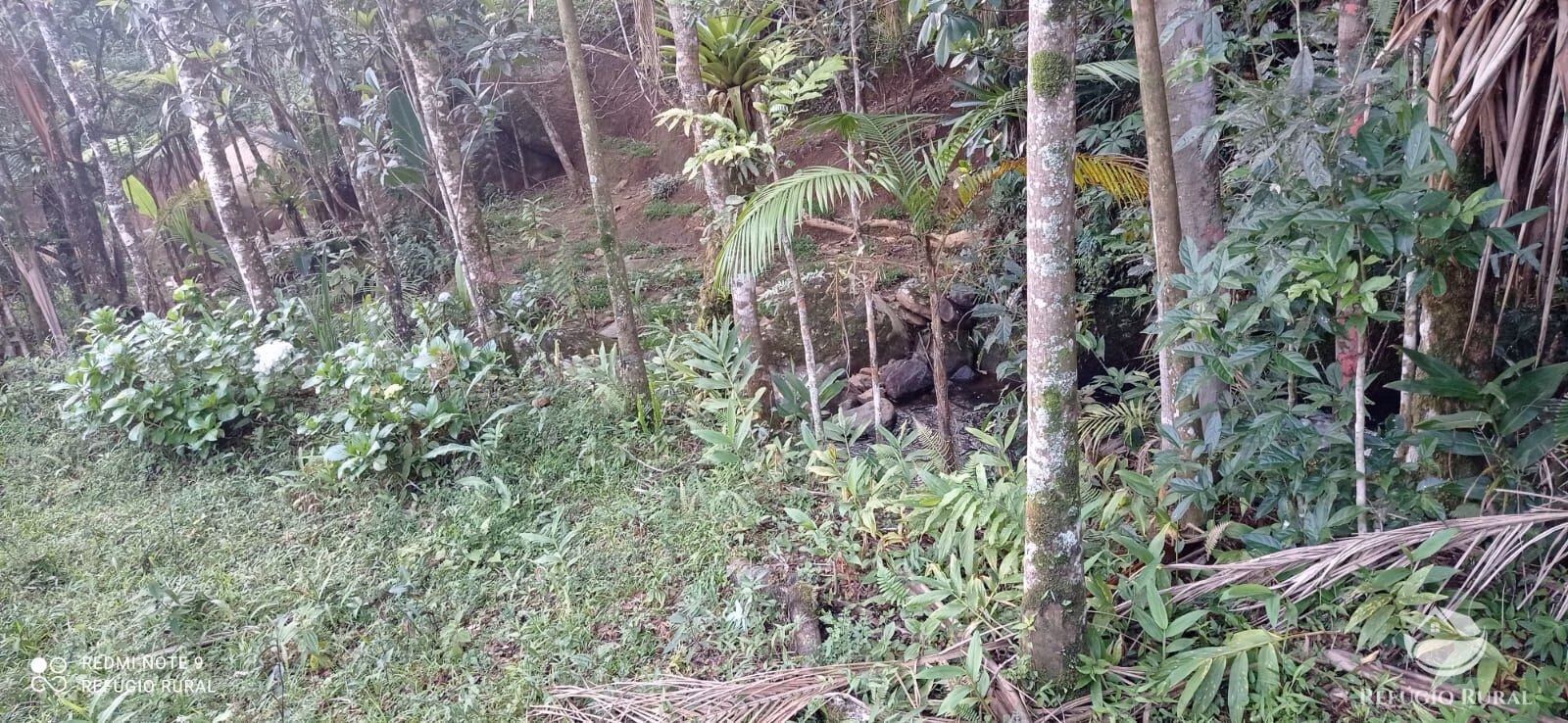 Country home of 3 acres in São José dos Campos, SP, Brazil
