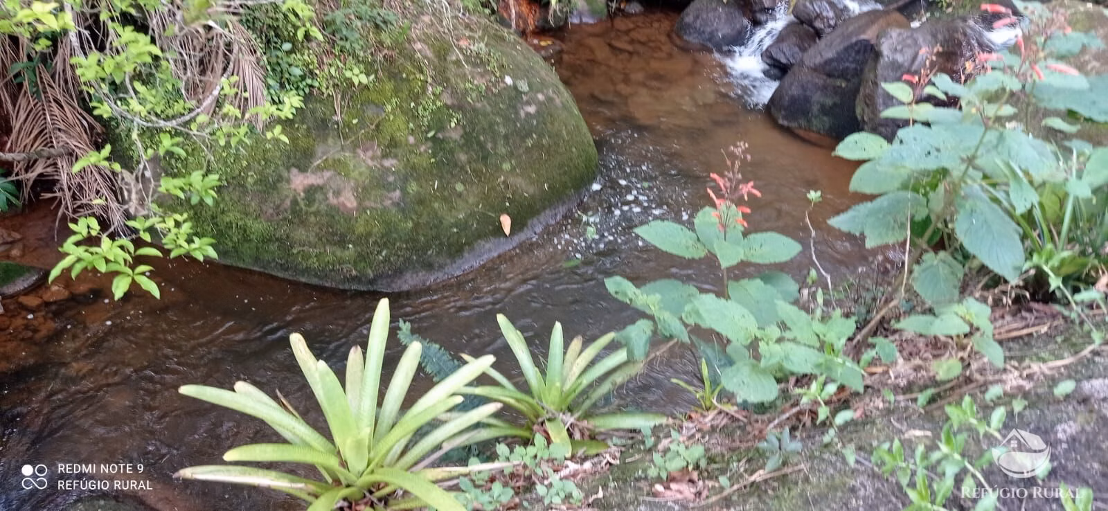 Country home of 3 acres in São José dos Campos, SP, Brazil