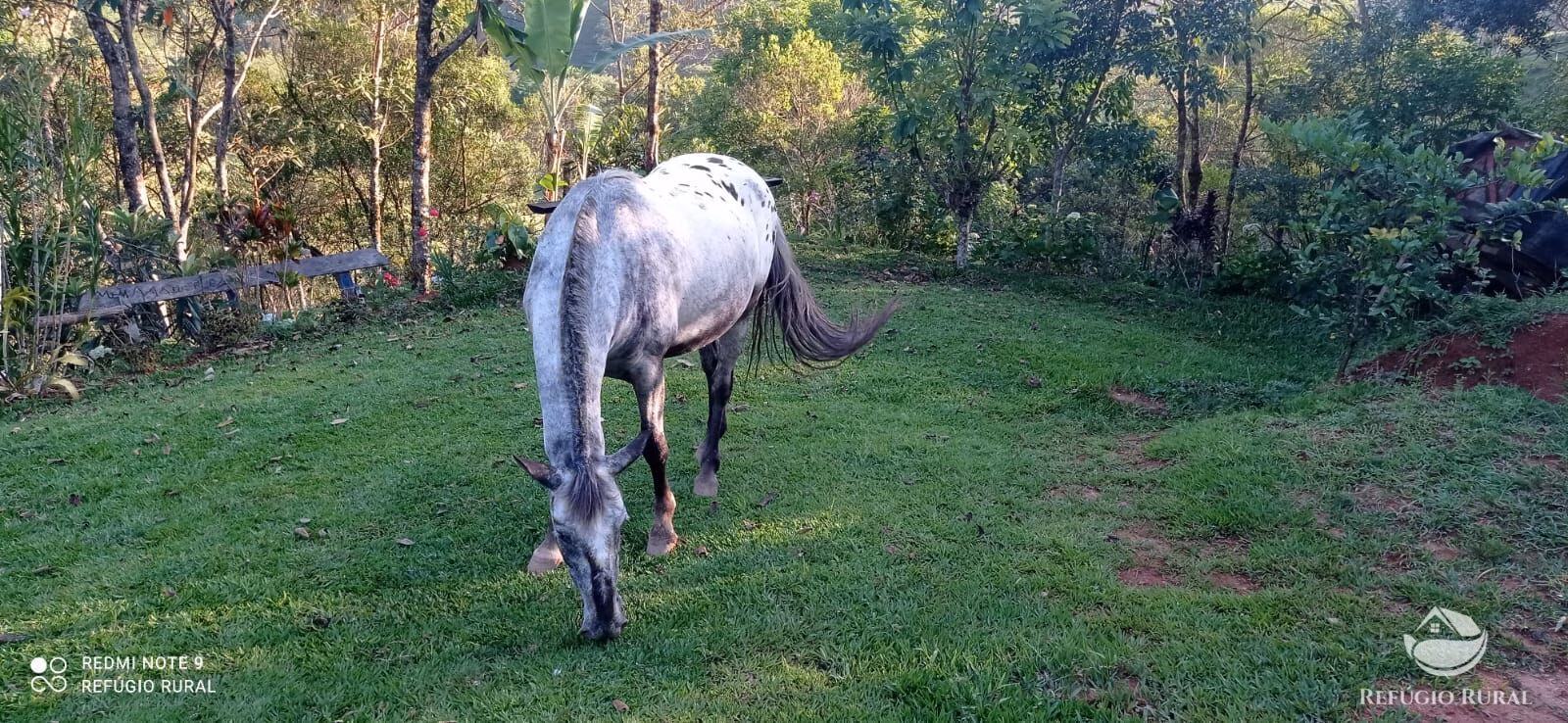 Country home of 3 acres in São José dos Campos, SP, Brazil
