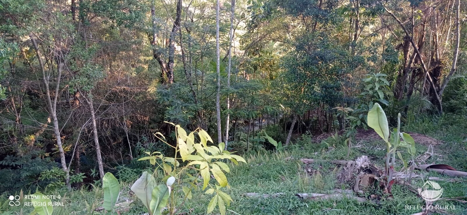 Country home of 3 acres in São José dos Campos, SP, Brazil