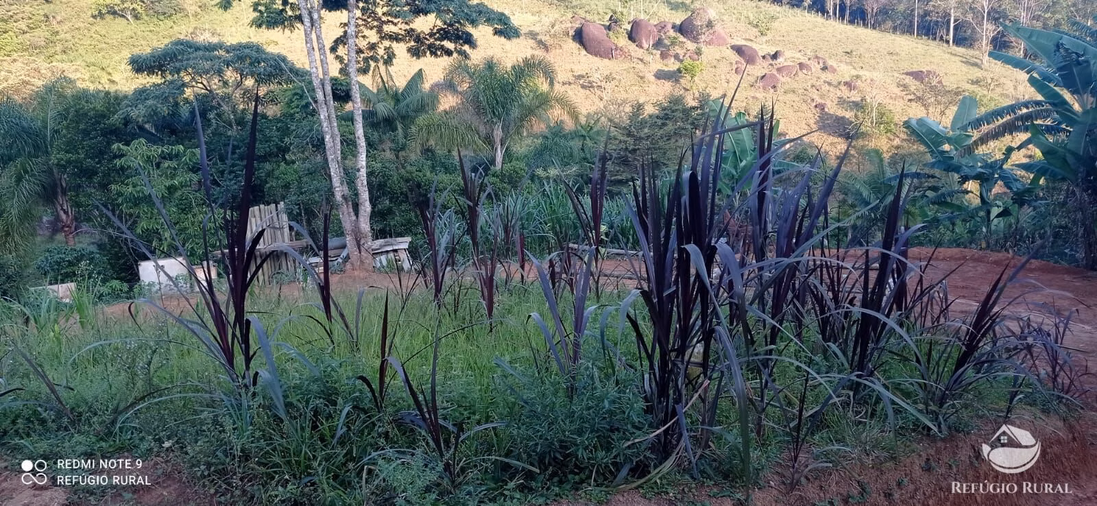 Country home of 3 acres in São José dos Campos, SP, Brazil