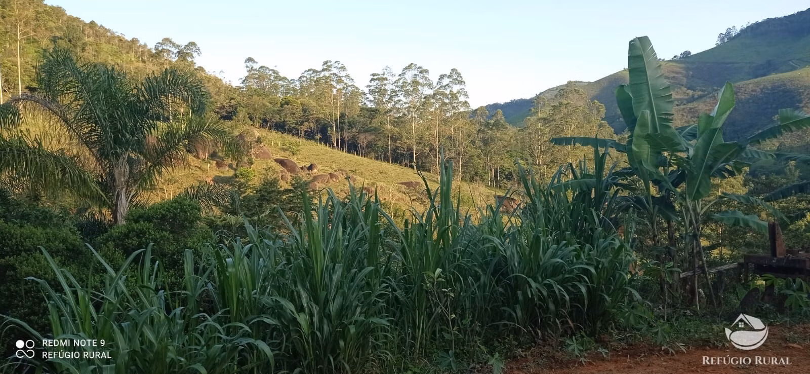 Country home of 3 acres in São José dos Campos, SP, Brazil