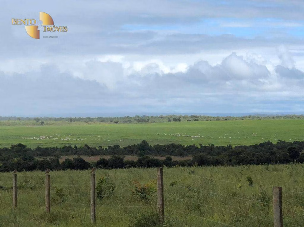 Fazenda de 7.000 ha em Cerejeiras, RO