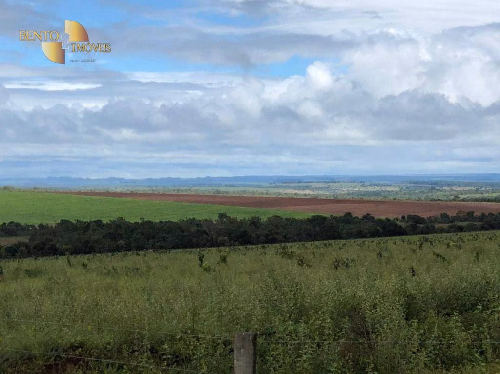 Fazenda de 7.000 ha em Cerejeiras, RO
