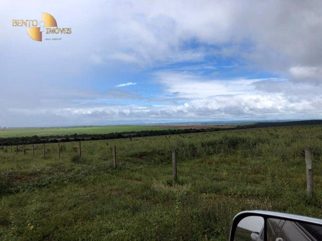 Fazenda de 7.000 ha em Cerejeiras, RO