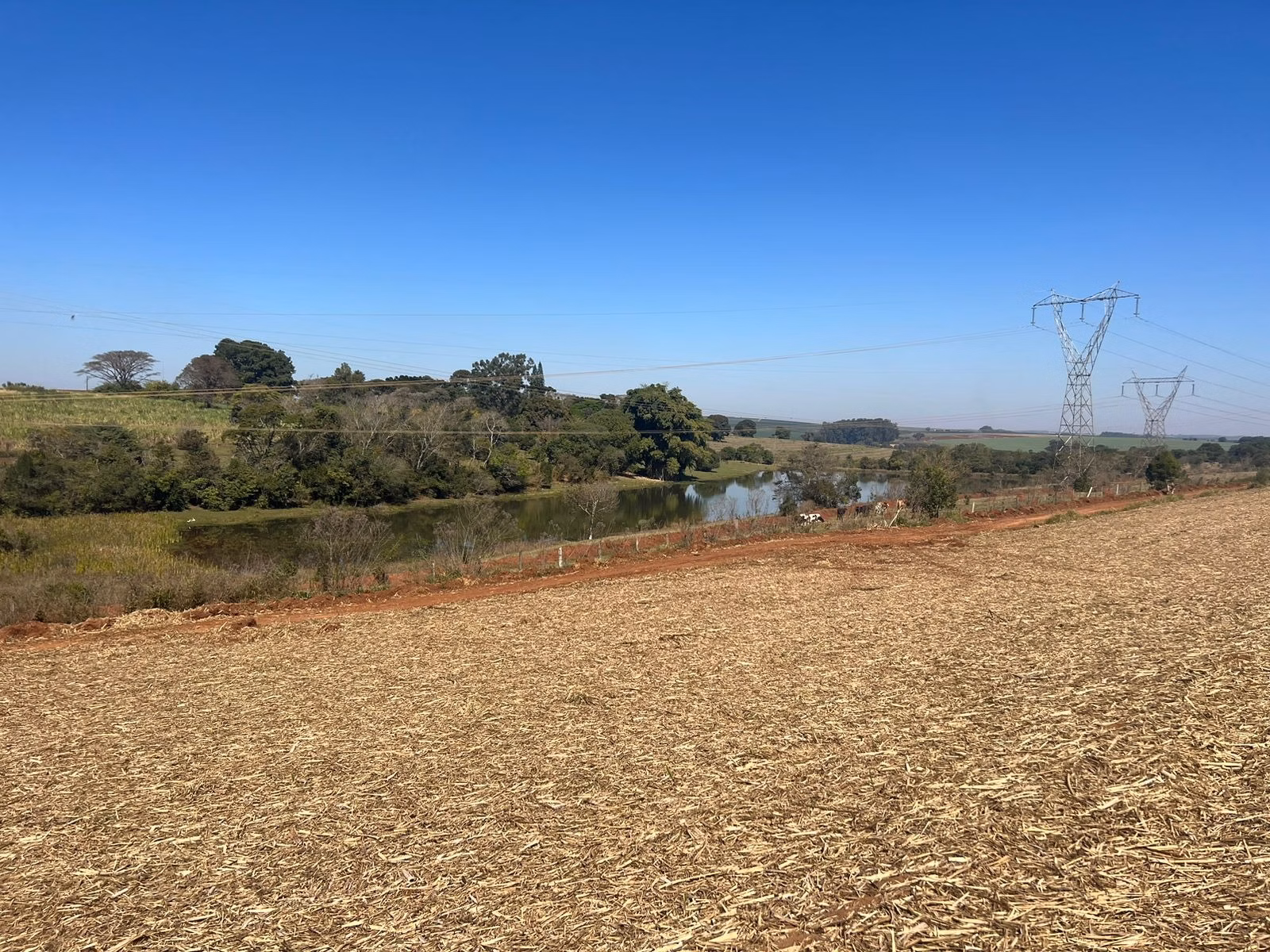 Fazenda à venda de 428 ha em Avaré, SP