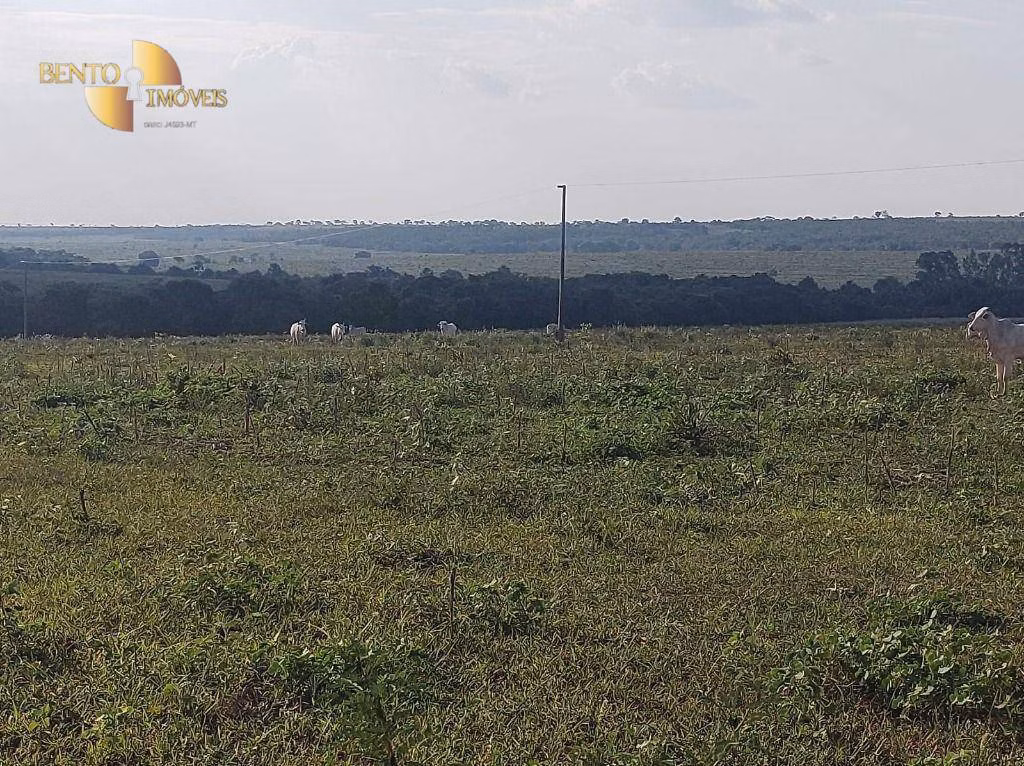 Fazenda de 3.500 ha em Nobres, MT
