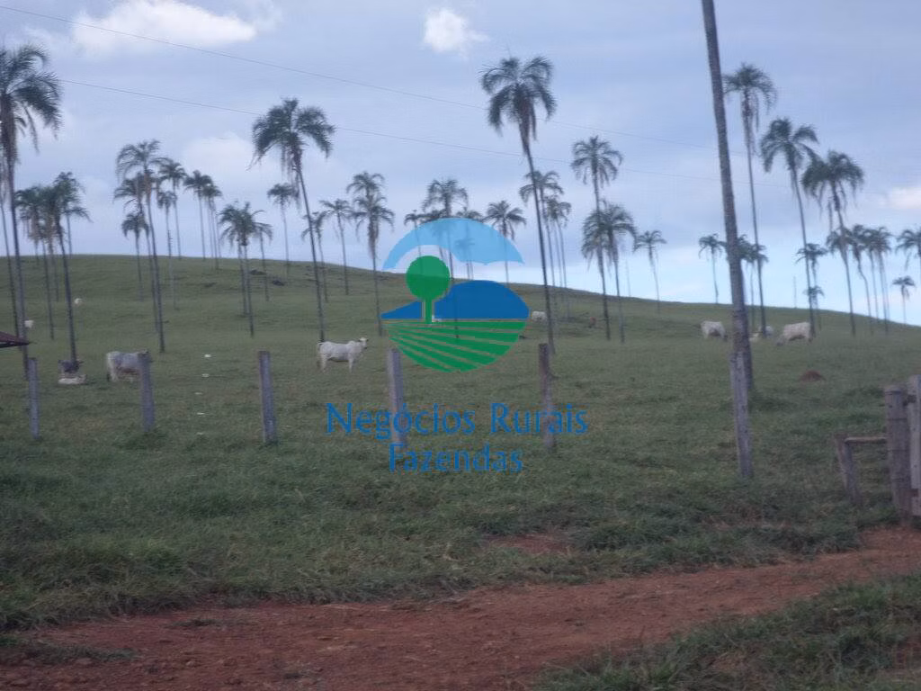 Fazenda de 1.113 ha em Barro Alto, GO