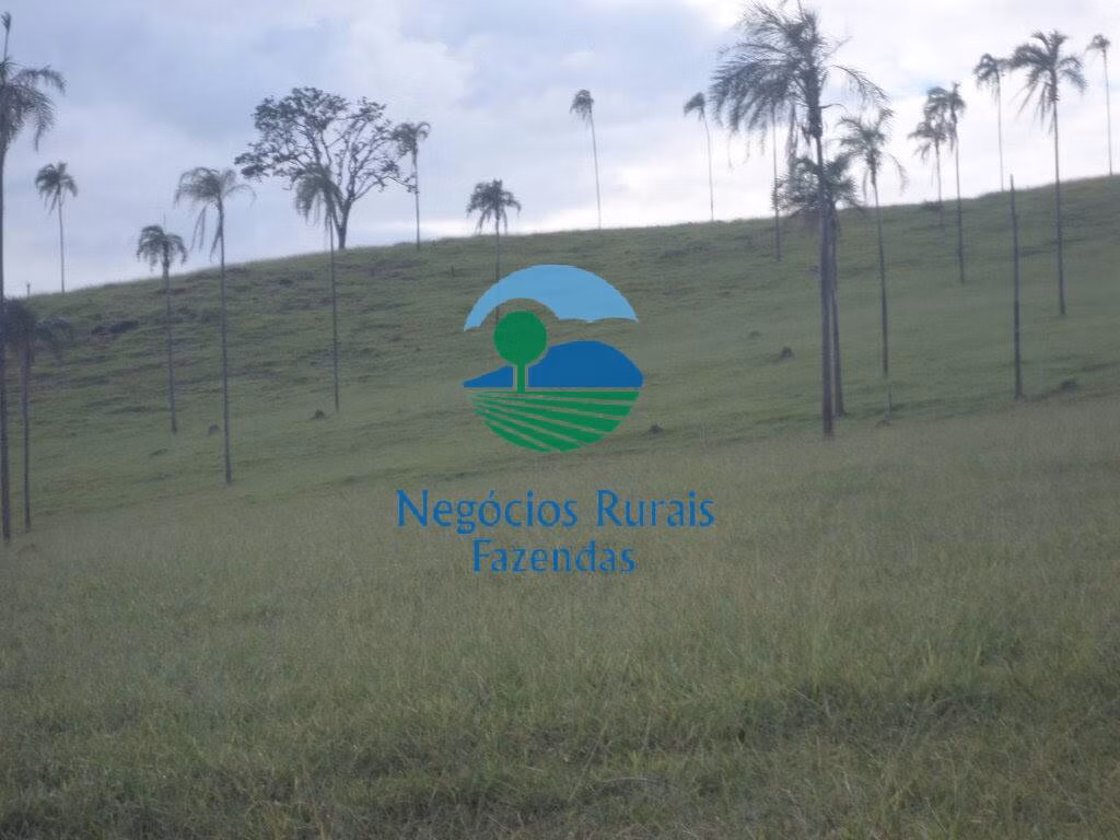 Fazenda de 1.113 ha em Barro Alto, GO