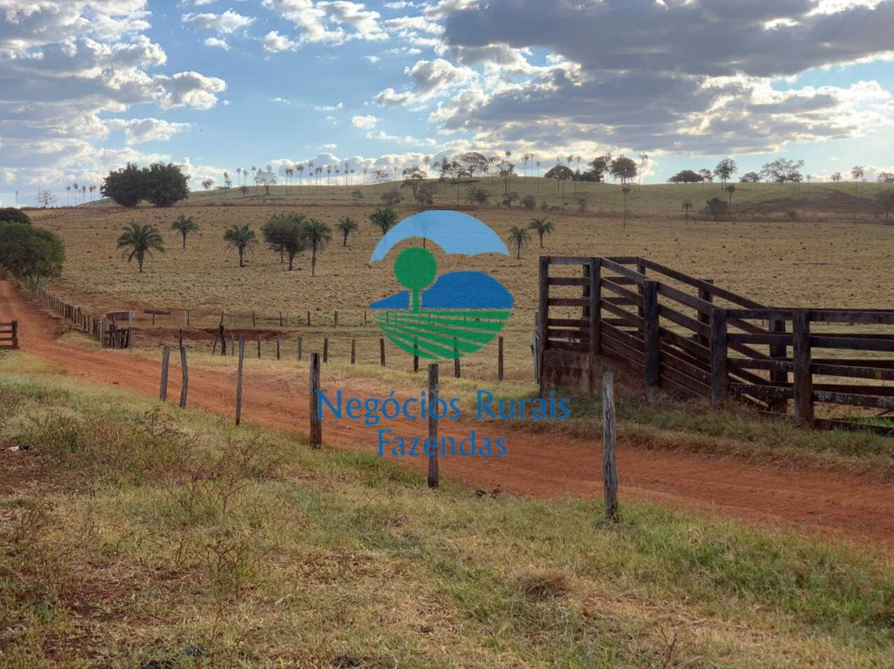 Fazenda de 1.113 ha em Barro Alto, GO