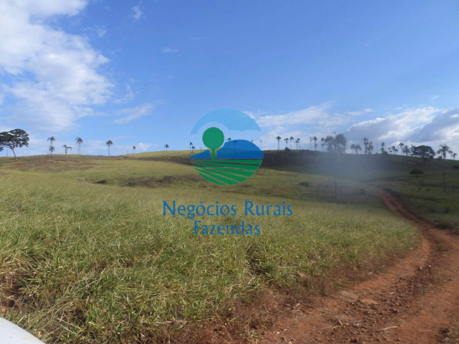 Fazenda de 1.113 ha em Barro Alto, GO