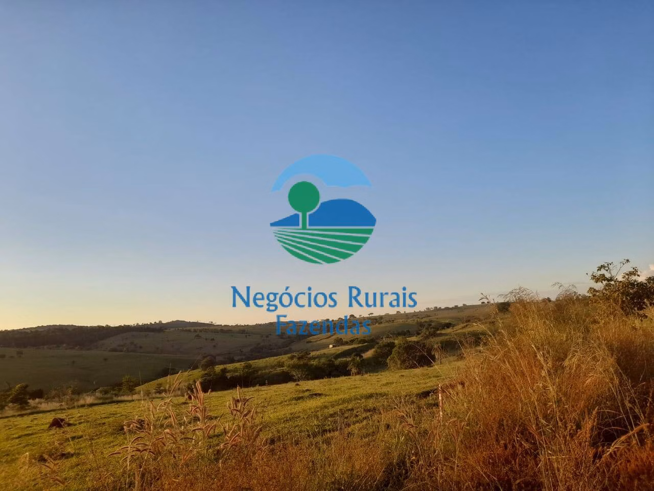 Fazenda de 1.113 ha em Barro Alto, GO