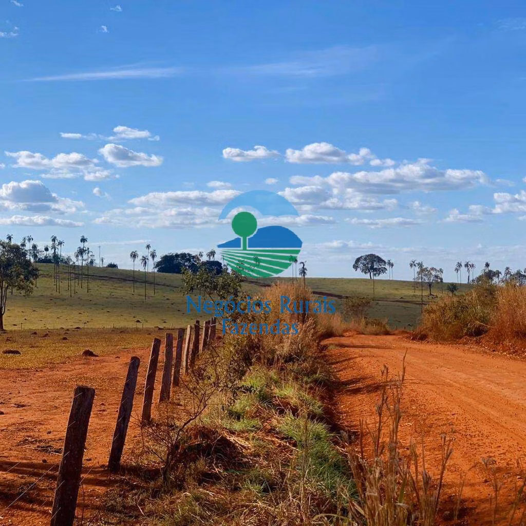 Fazenda de 1.113 ha em Barro Alto, GO