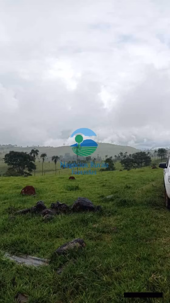 Fazenda de 1.113 ha em Barro Alto, GO