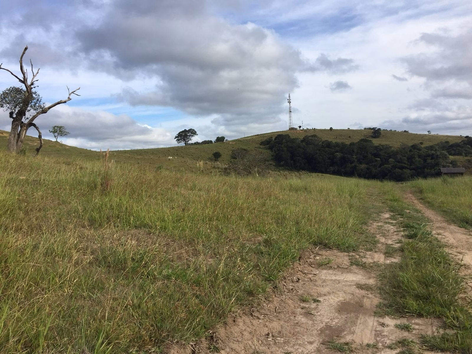 Small farm of 54 acres in Itapetininga, SP, Brazil