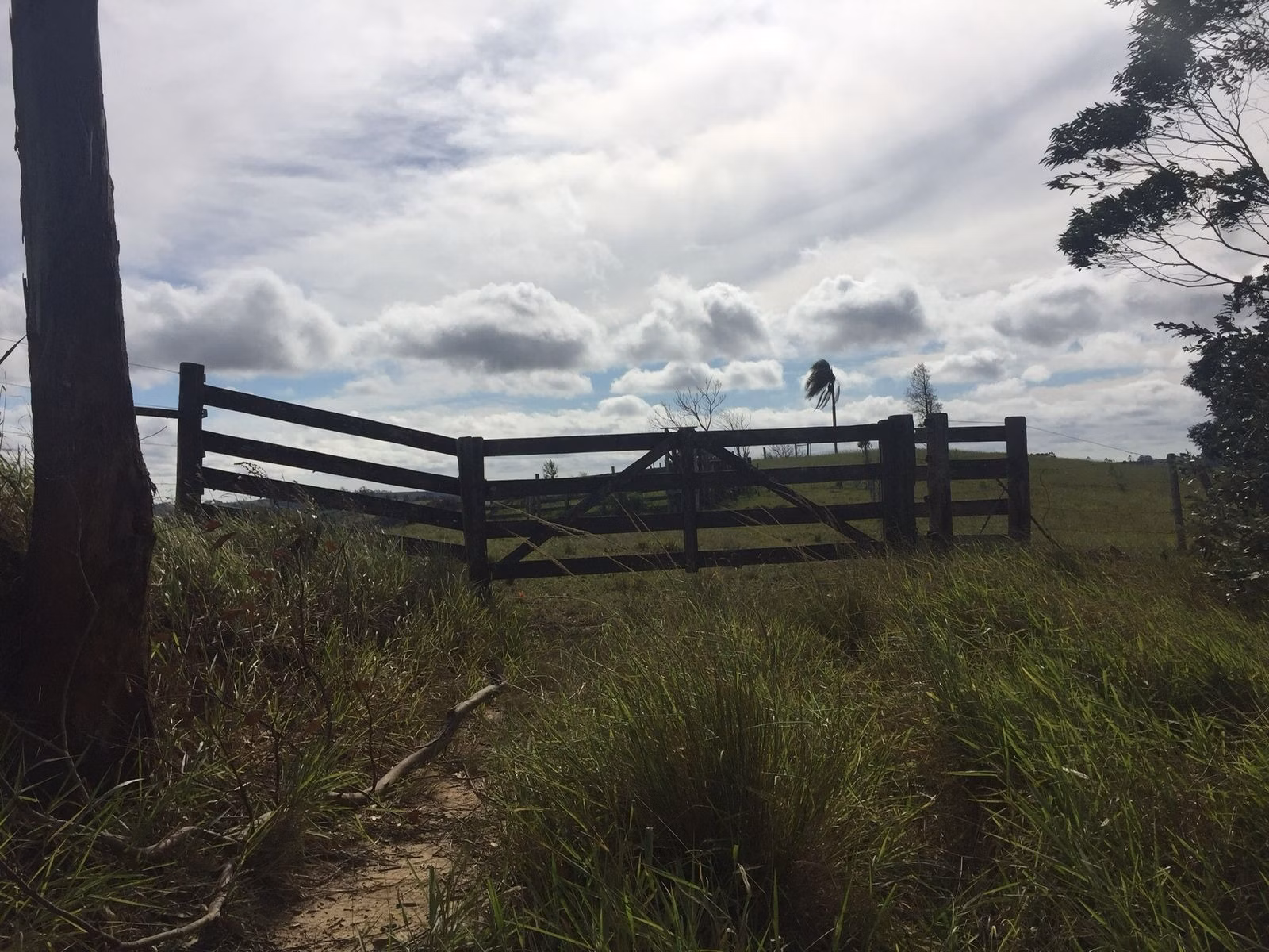 Small farm of 54 acres in Itapetininga, SP, Brazil