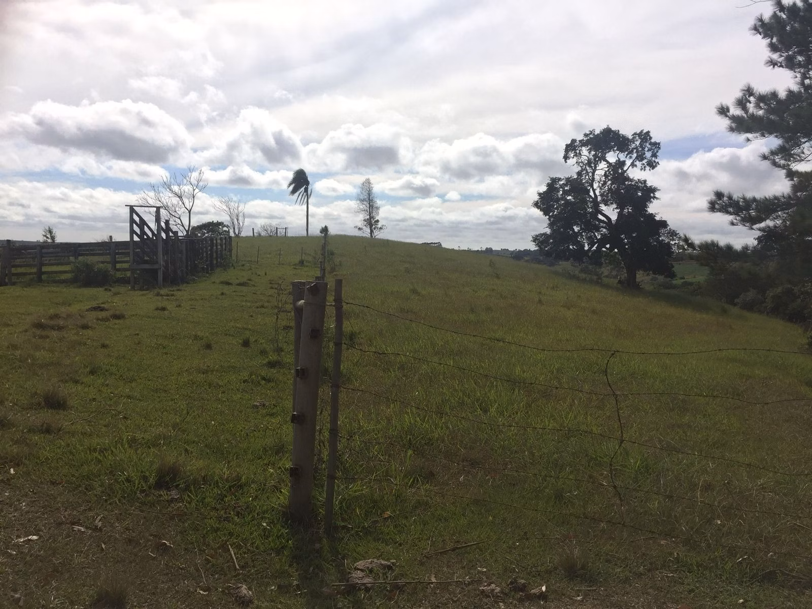 Sítio de 22 ha em Itapetininga, SP