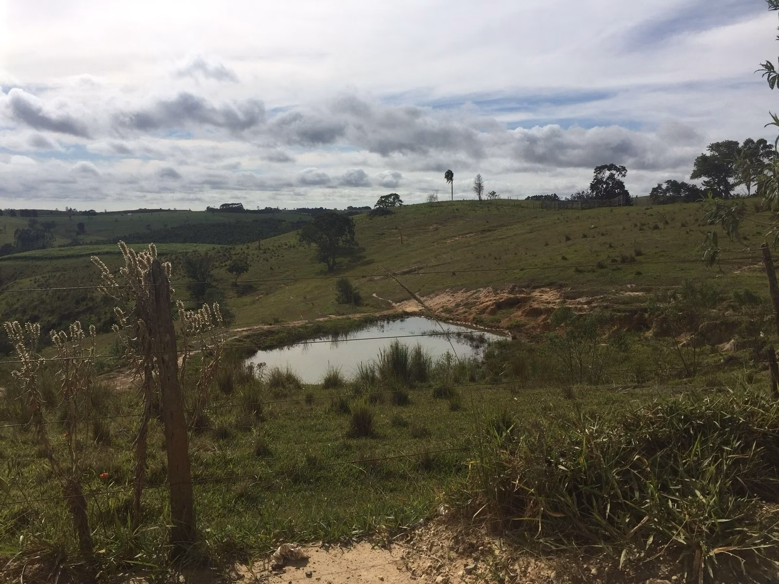 Small farm of 54 acres in Itapetininga, SP, Brazil