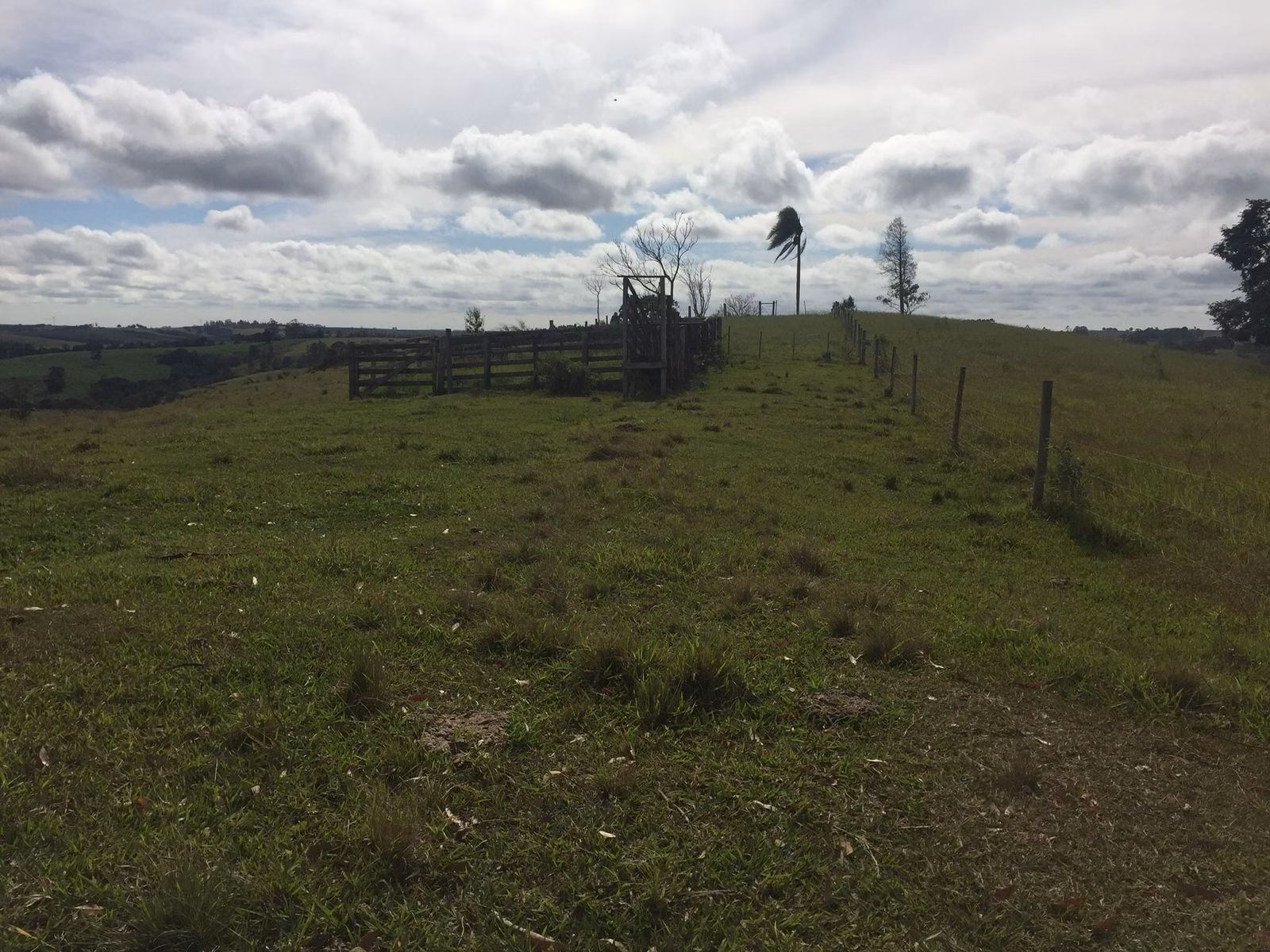 Small farm of 54 acres in Itapetininga, SP, Brazil