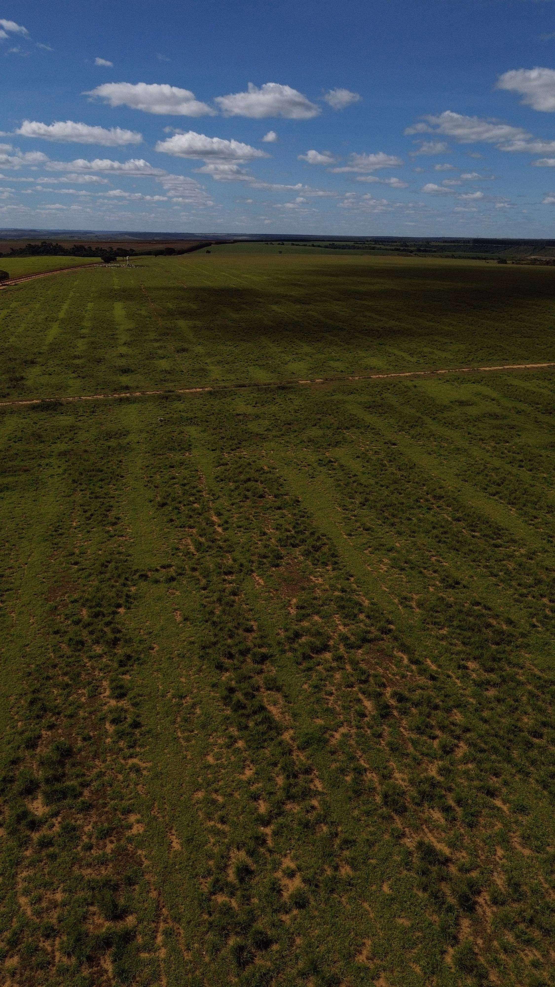 Fazenda de 809 ha em Luziânia, GO