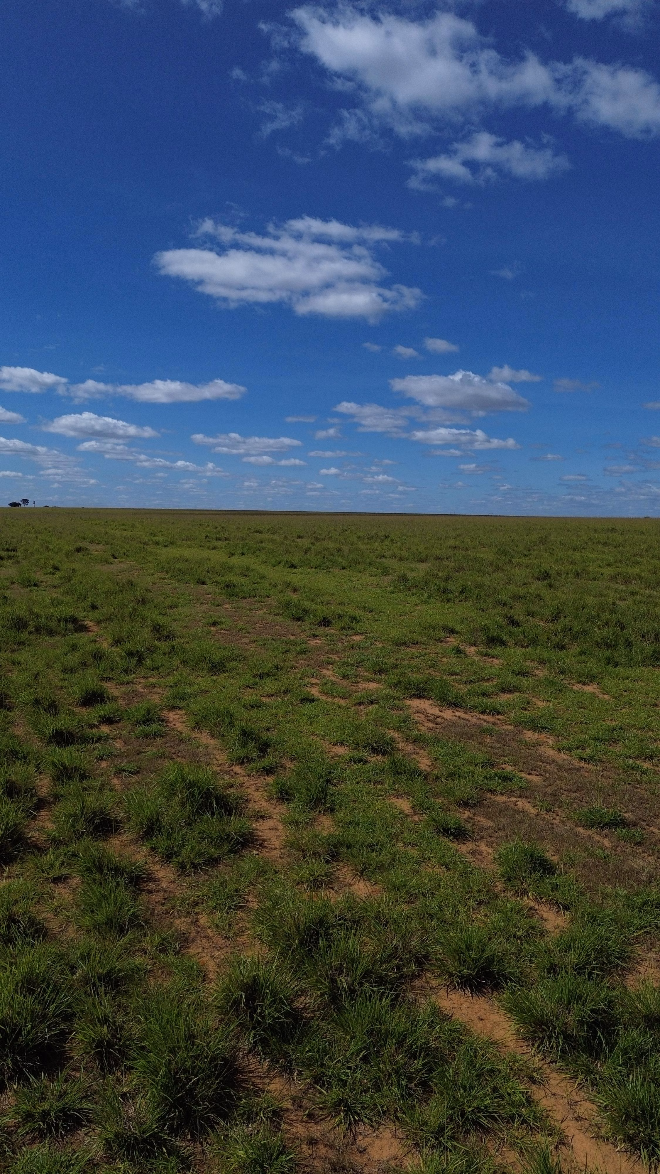 Fazenda de 809 ha em Luziânia, GO