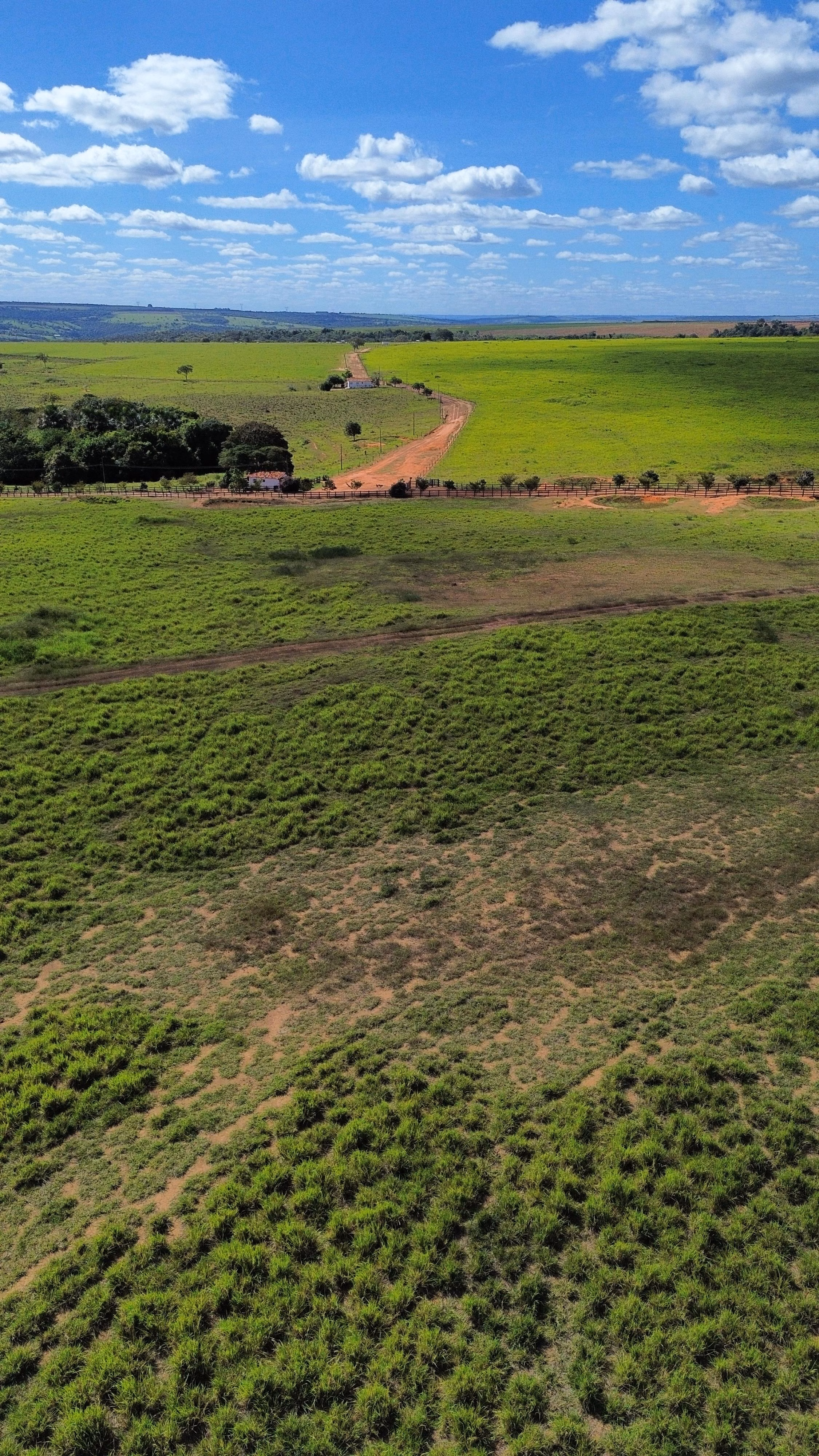 Fazenda de 809 ha em Luziânia, GO