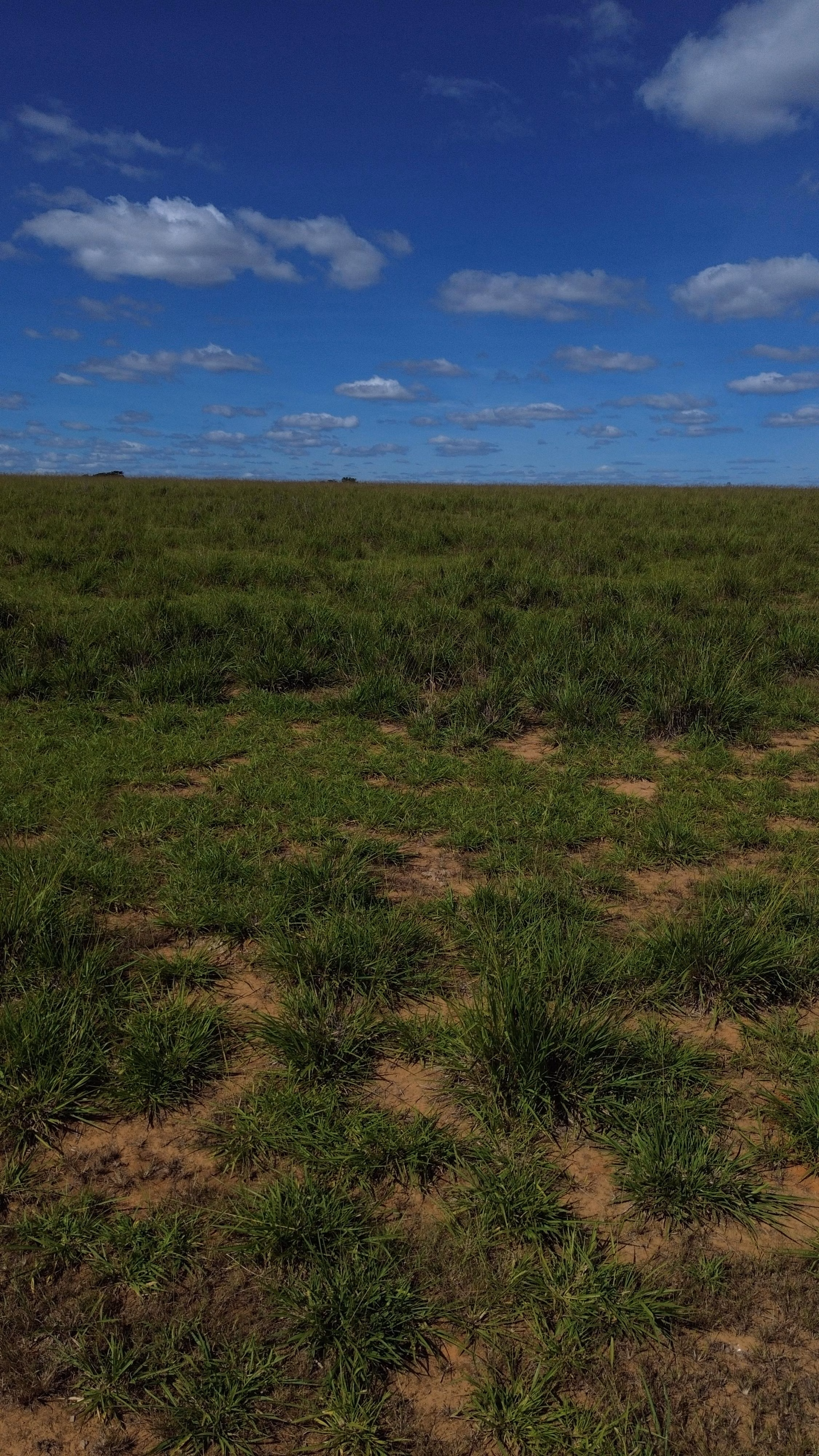 Fazenda de 809 ha em Luziânia, GO