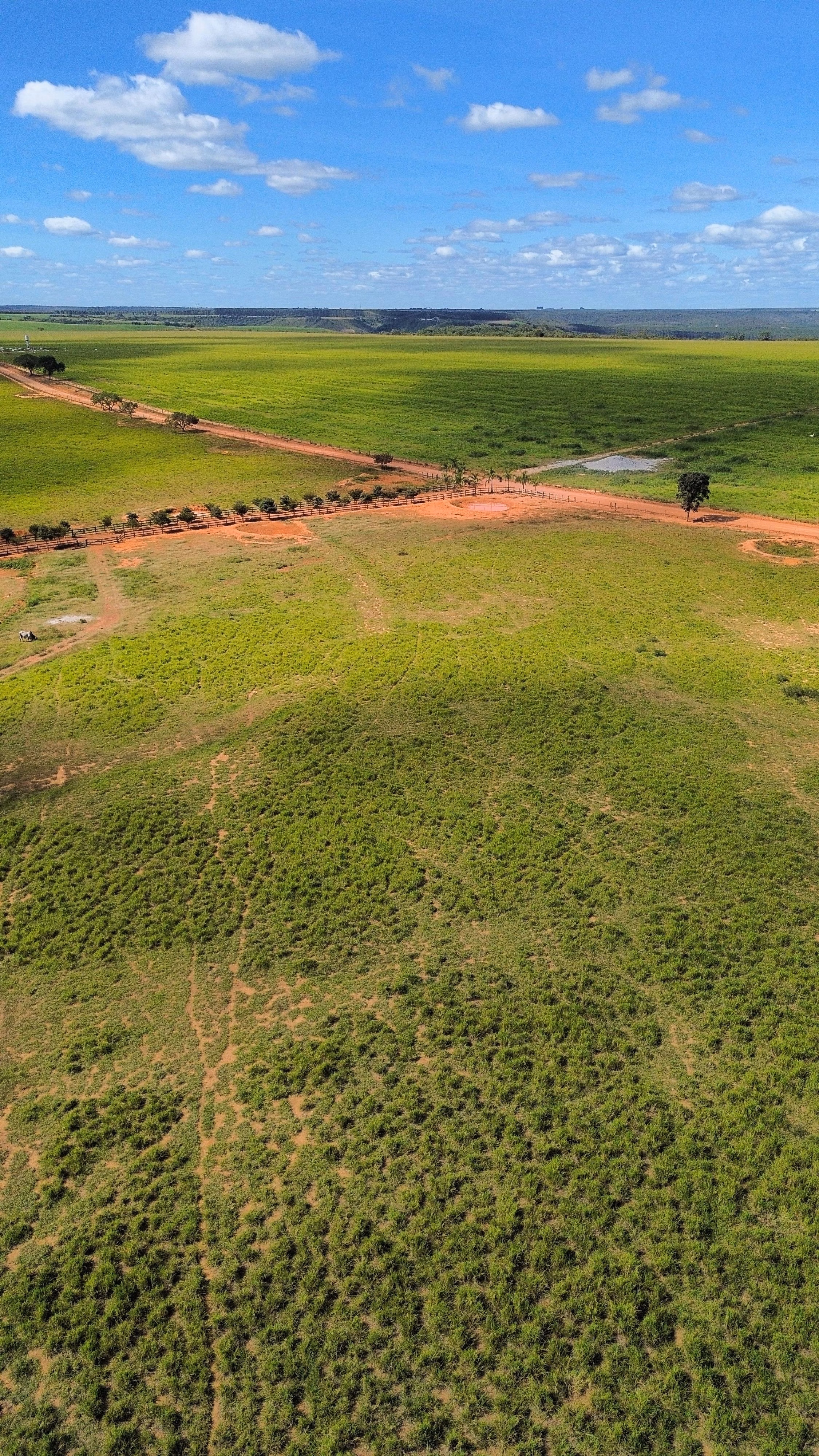 Fazenda de 809 ha em Luziânia, GO