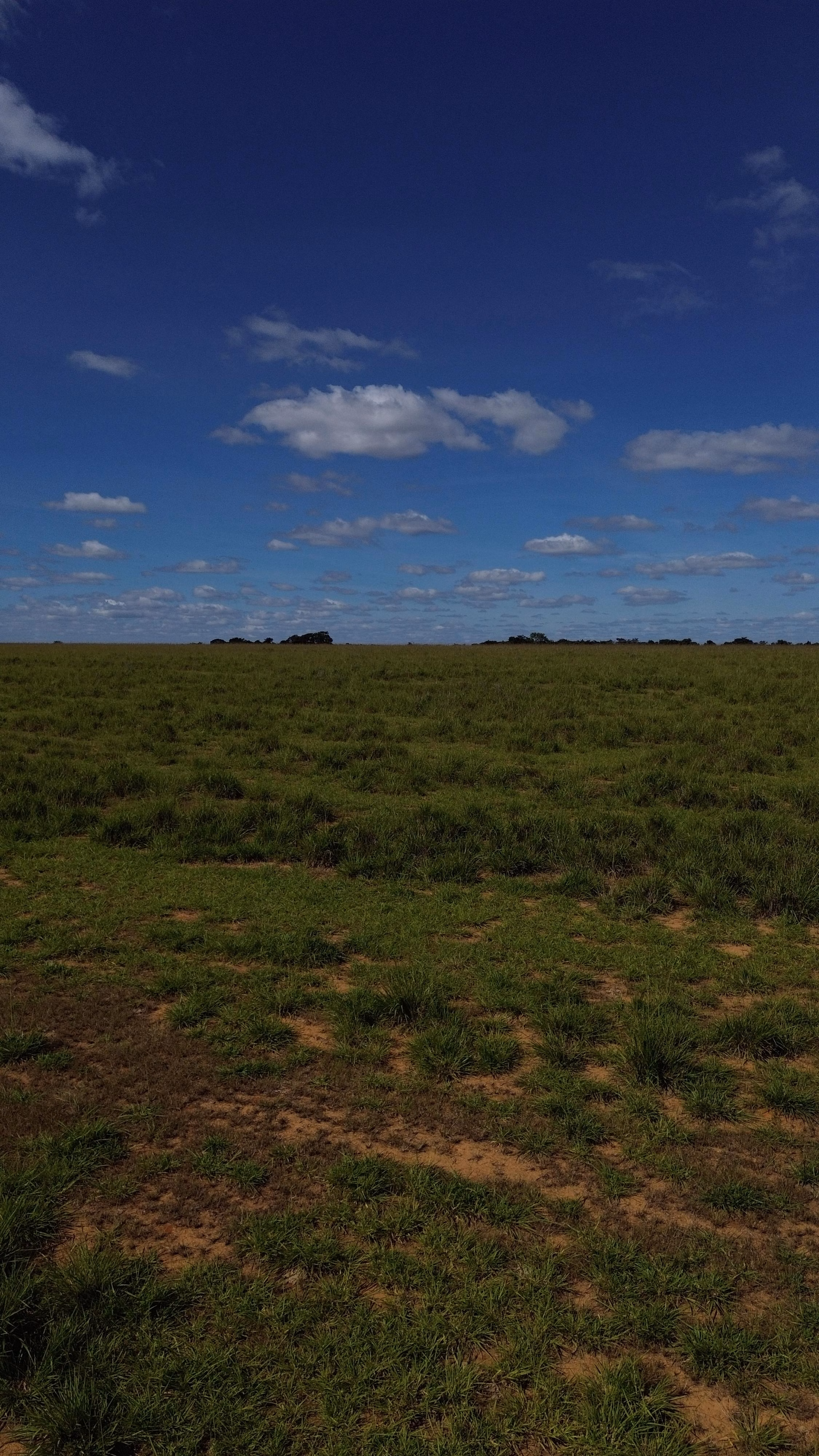 Fazenda de 809 ha em Luziânia, GO