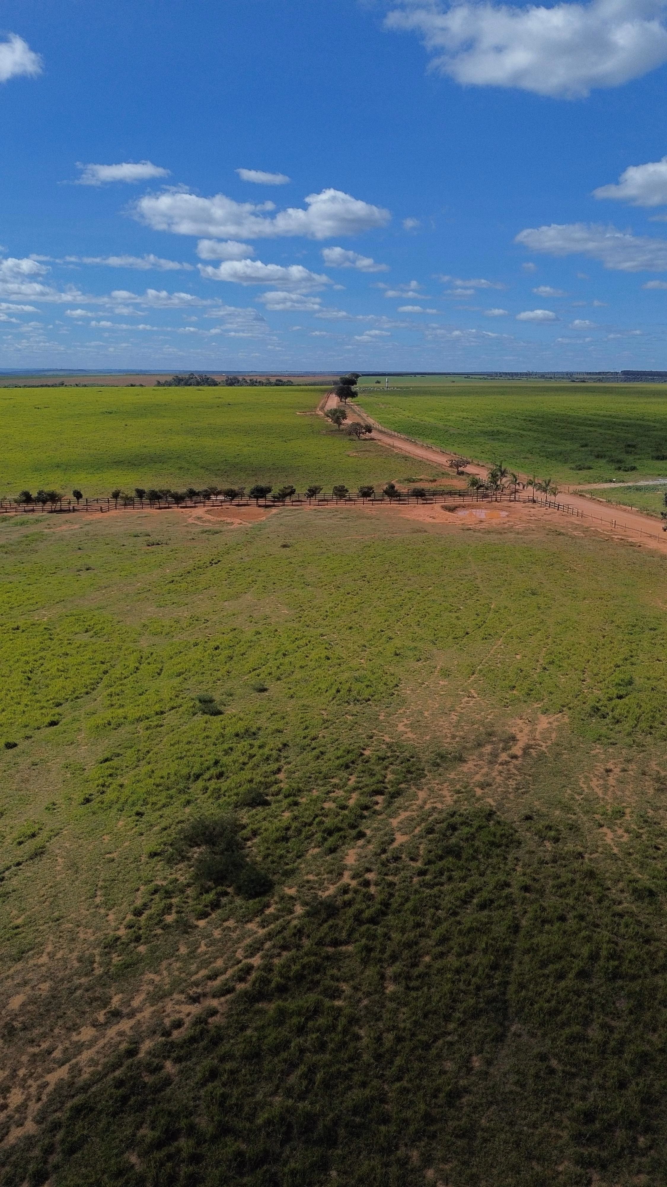 Fazenda de 809 ha em Luziânia, GO
