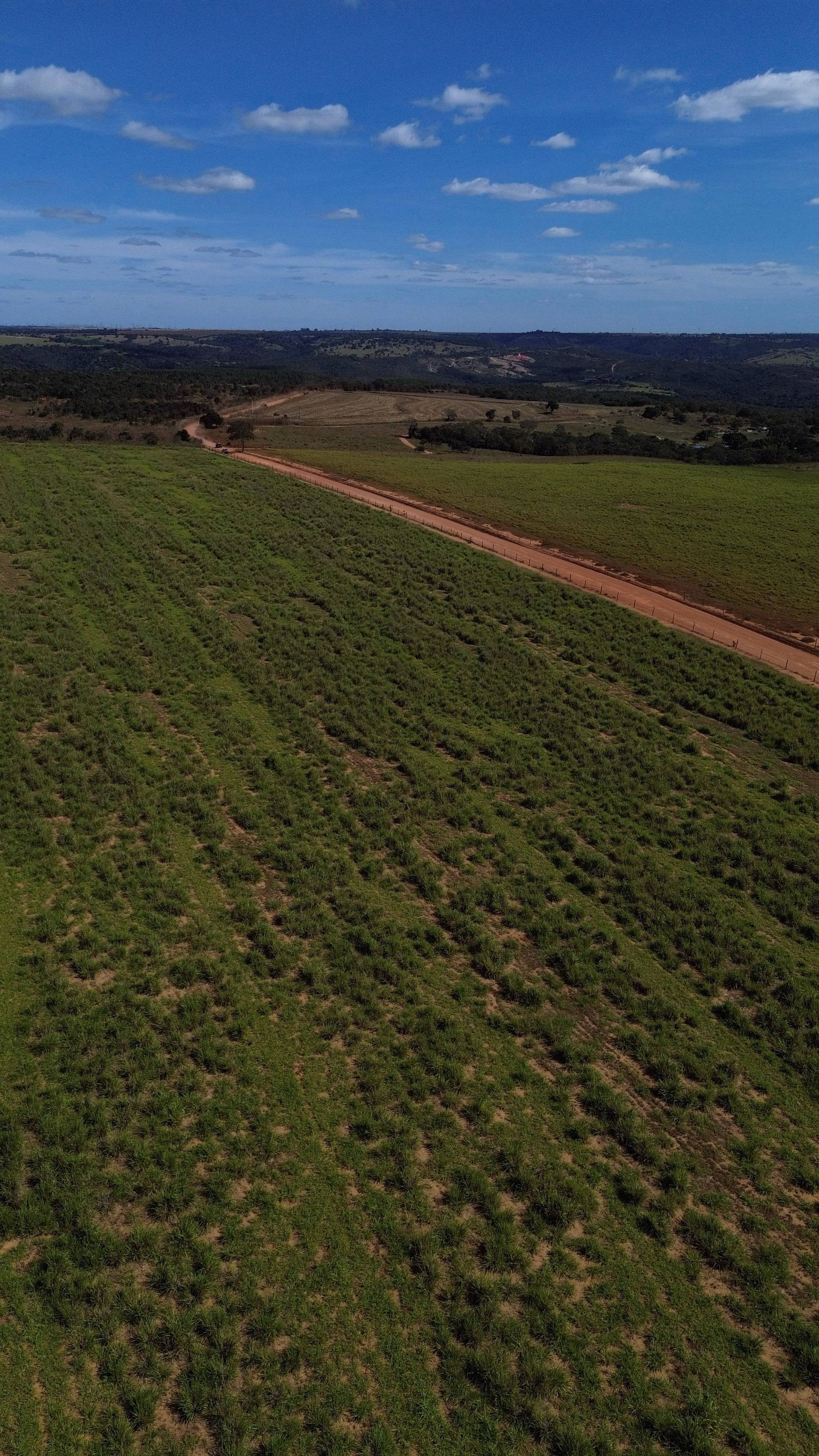 Fazenda de 809 ha em Luziânia, GO