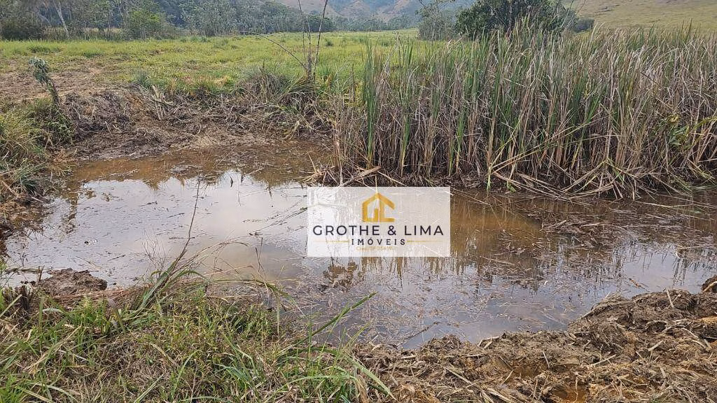 Farm of 212 acres in Silveiras, SP, Brazil