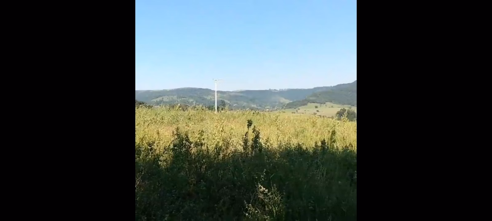 Small farm of 72 acres in Botucatu, SP, Brazil