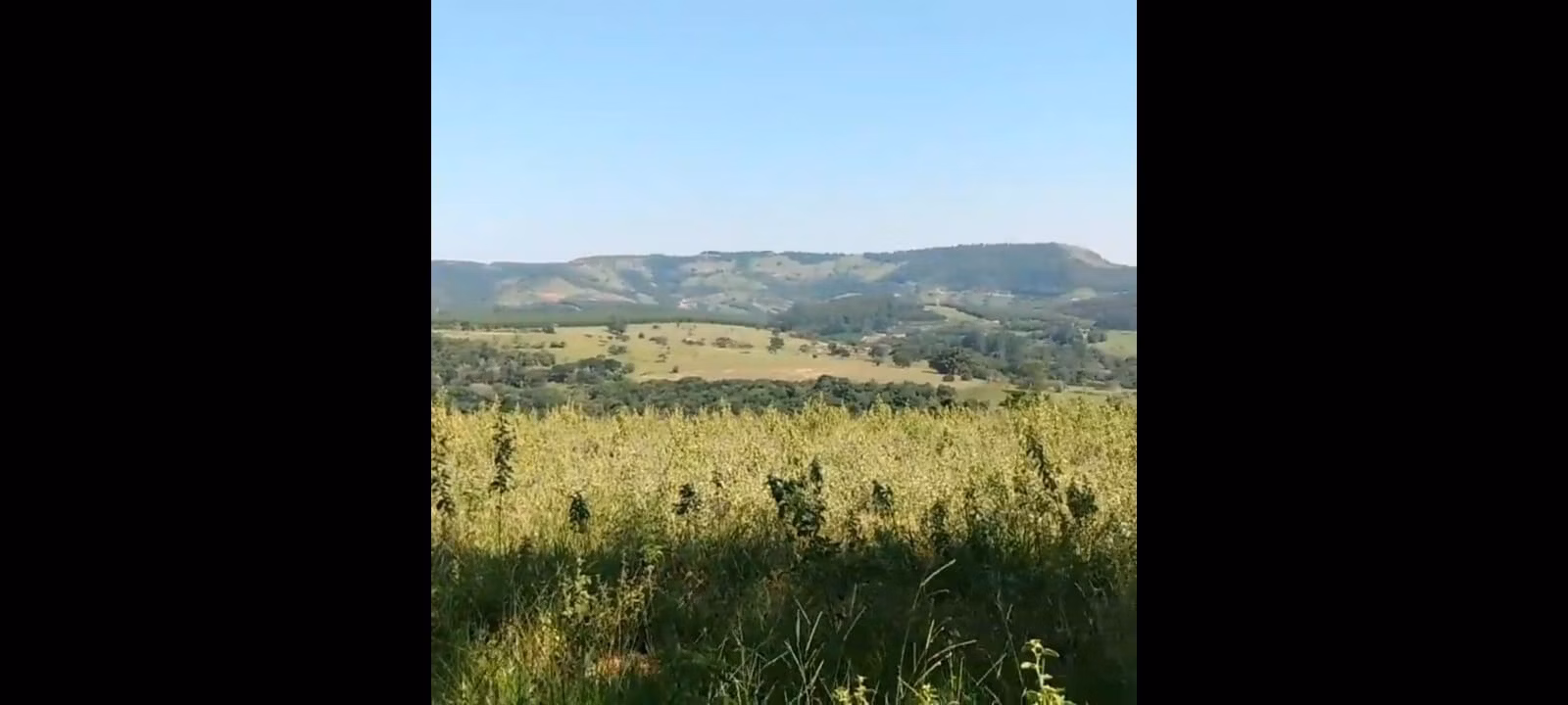 Small farm of 72 acres in Botucatu, SP, Brazil