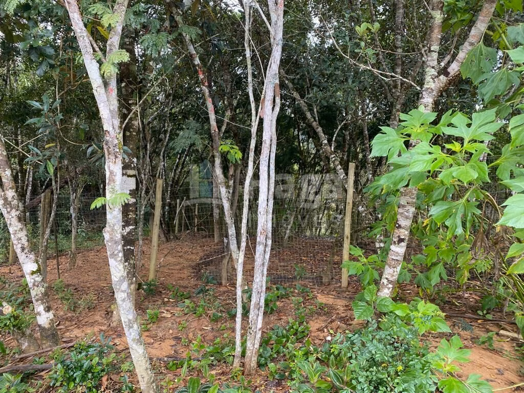 Farm of 3,600 m² in Nova Trento, SC, Brazil