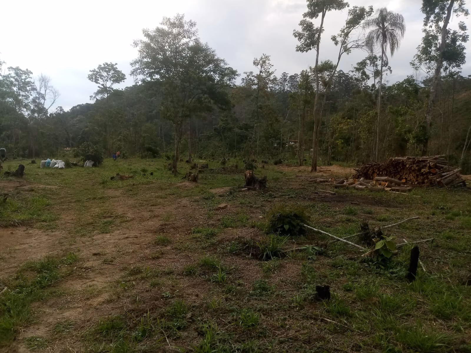 Terreno de 2 ha em Monteiro Lobato, SP