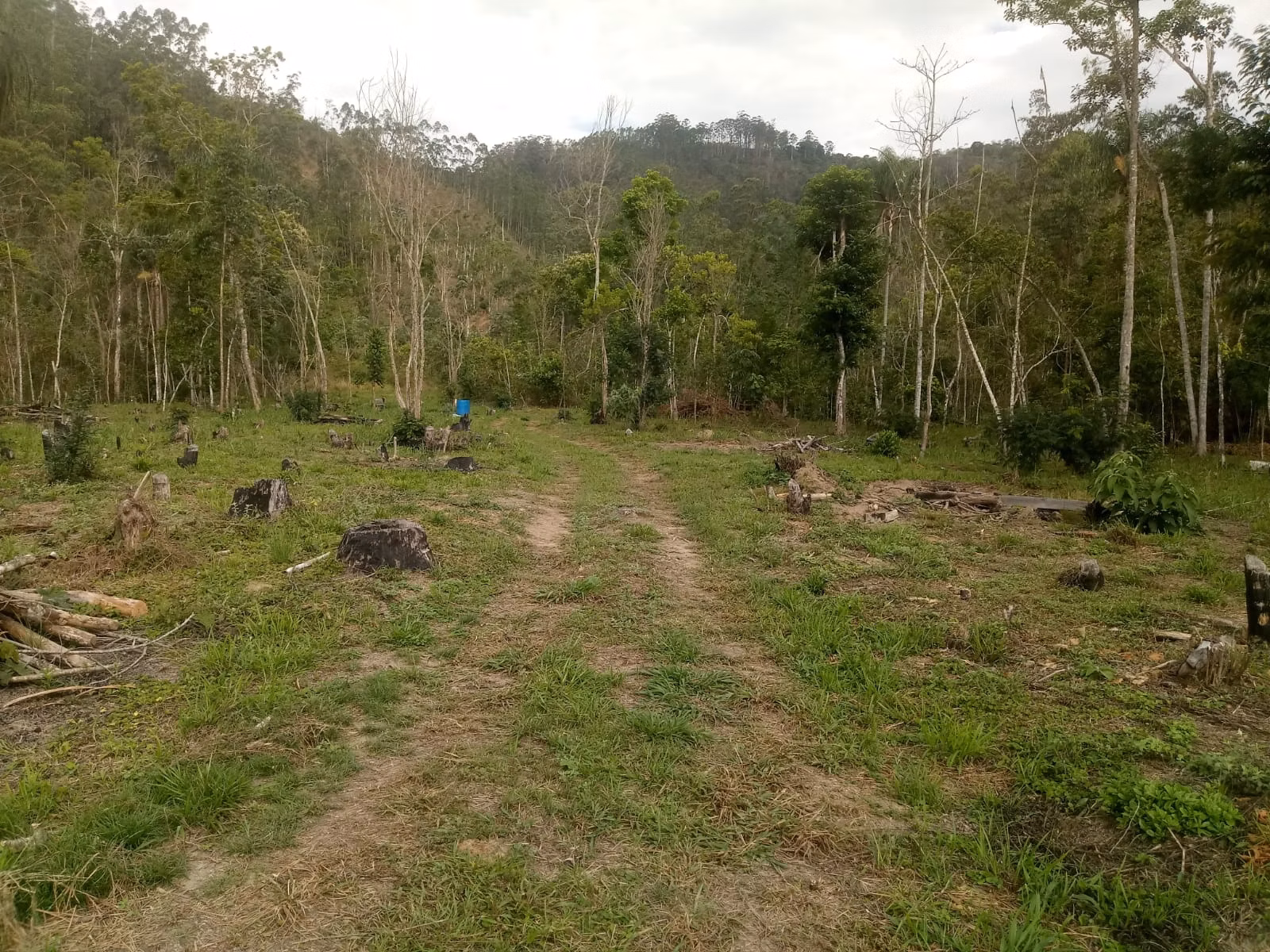 Terreno de 2 ha em Monteiro Lobato, SP