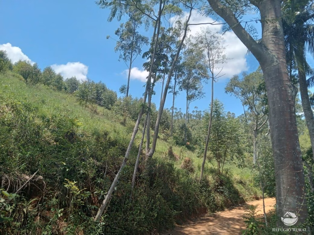 Sítio de 26 ha em Igaratá, SP