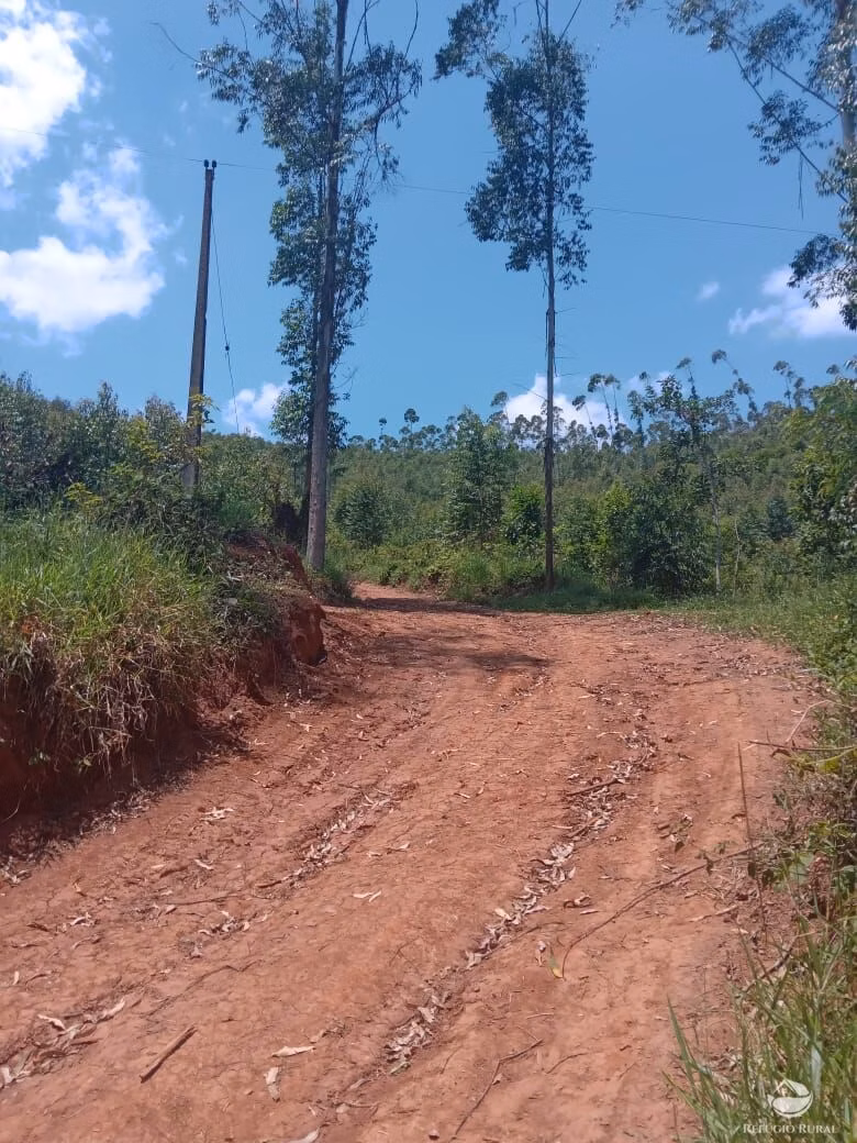 Sítio de 26 ha em Igaratá, SP
