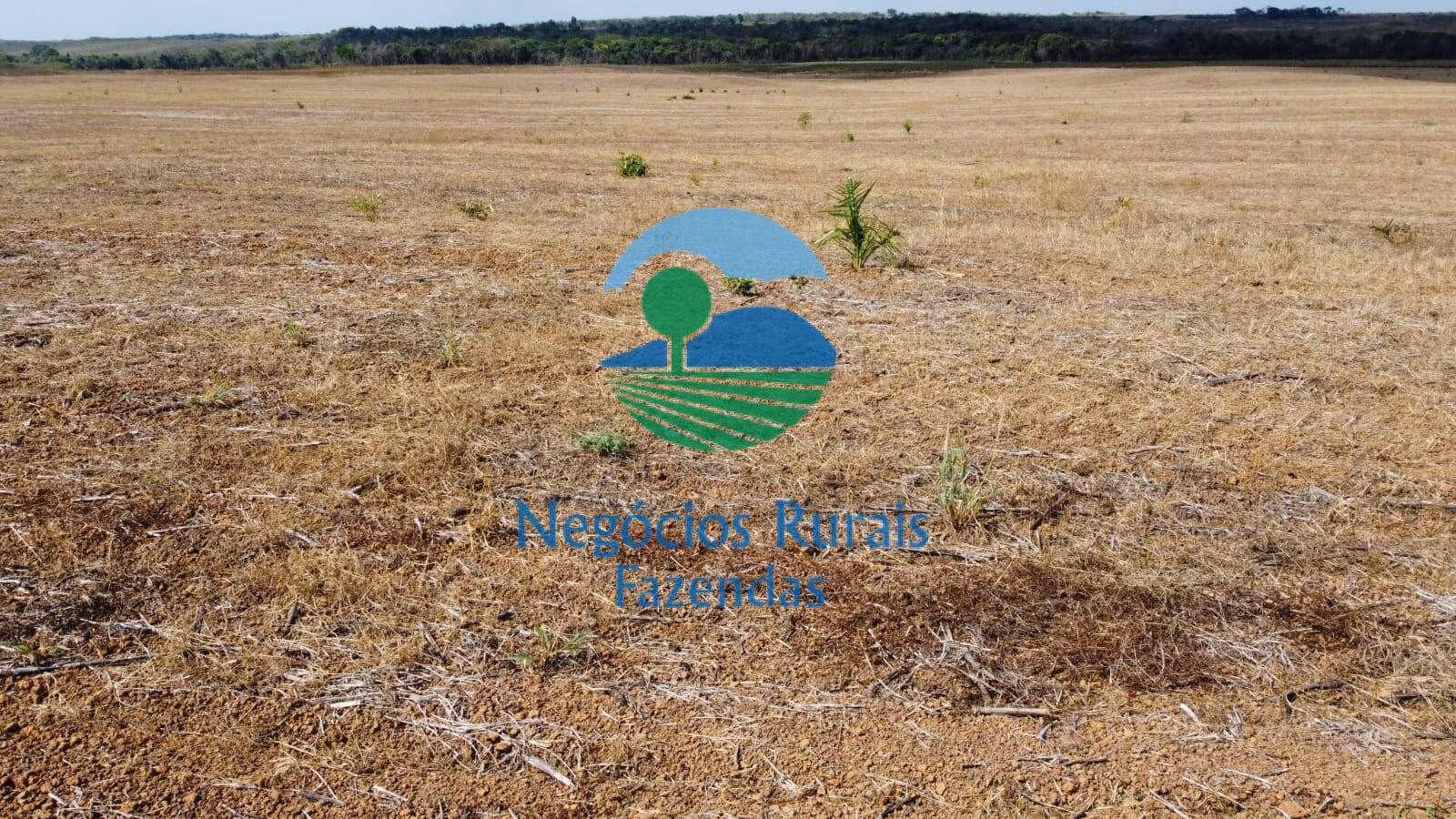 Fazenda de 2.662 ha em Uruaçu, GO