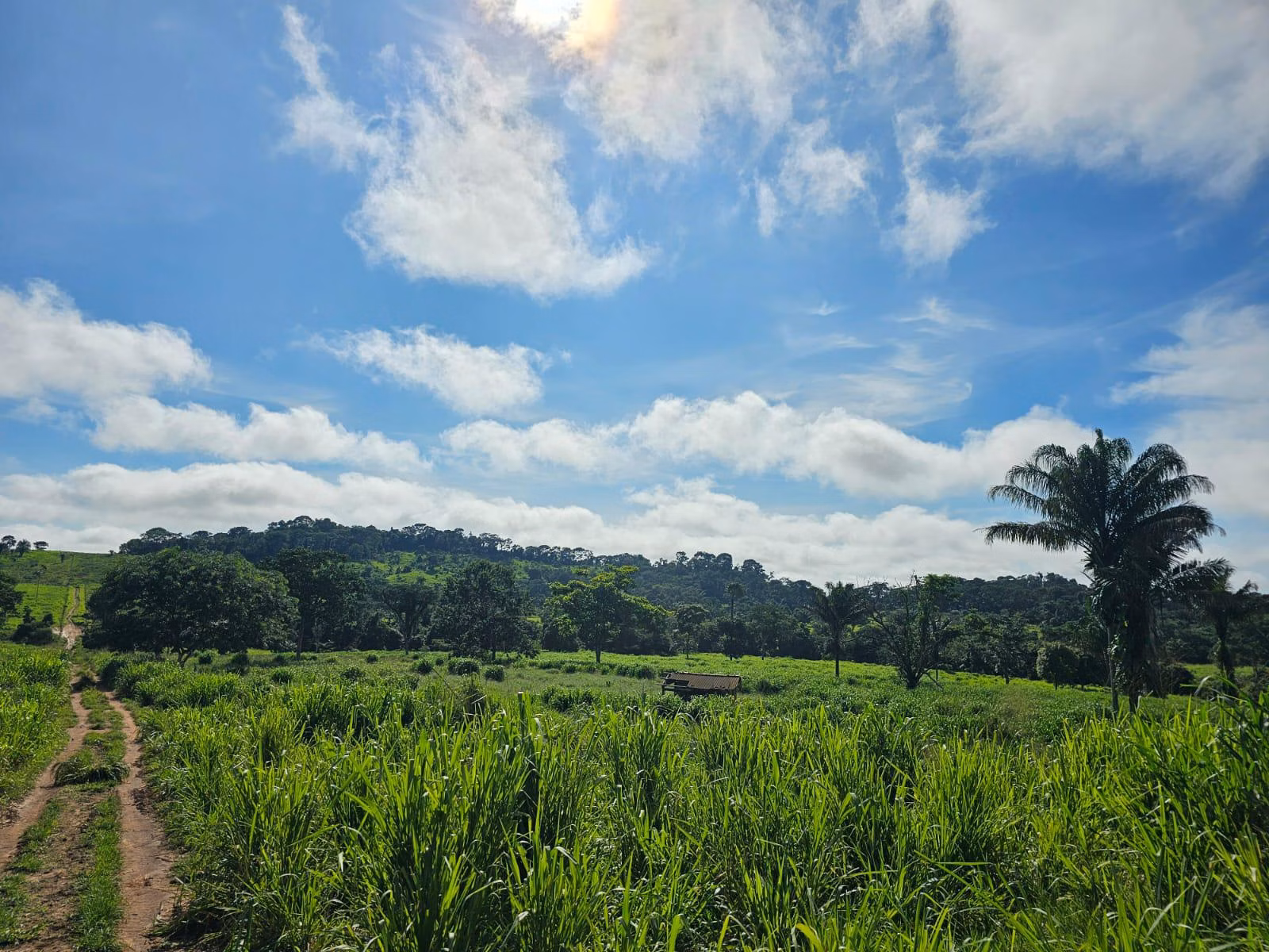 Fazenda de 1.045 ha em Apiacás, MT