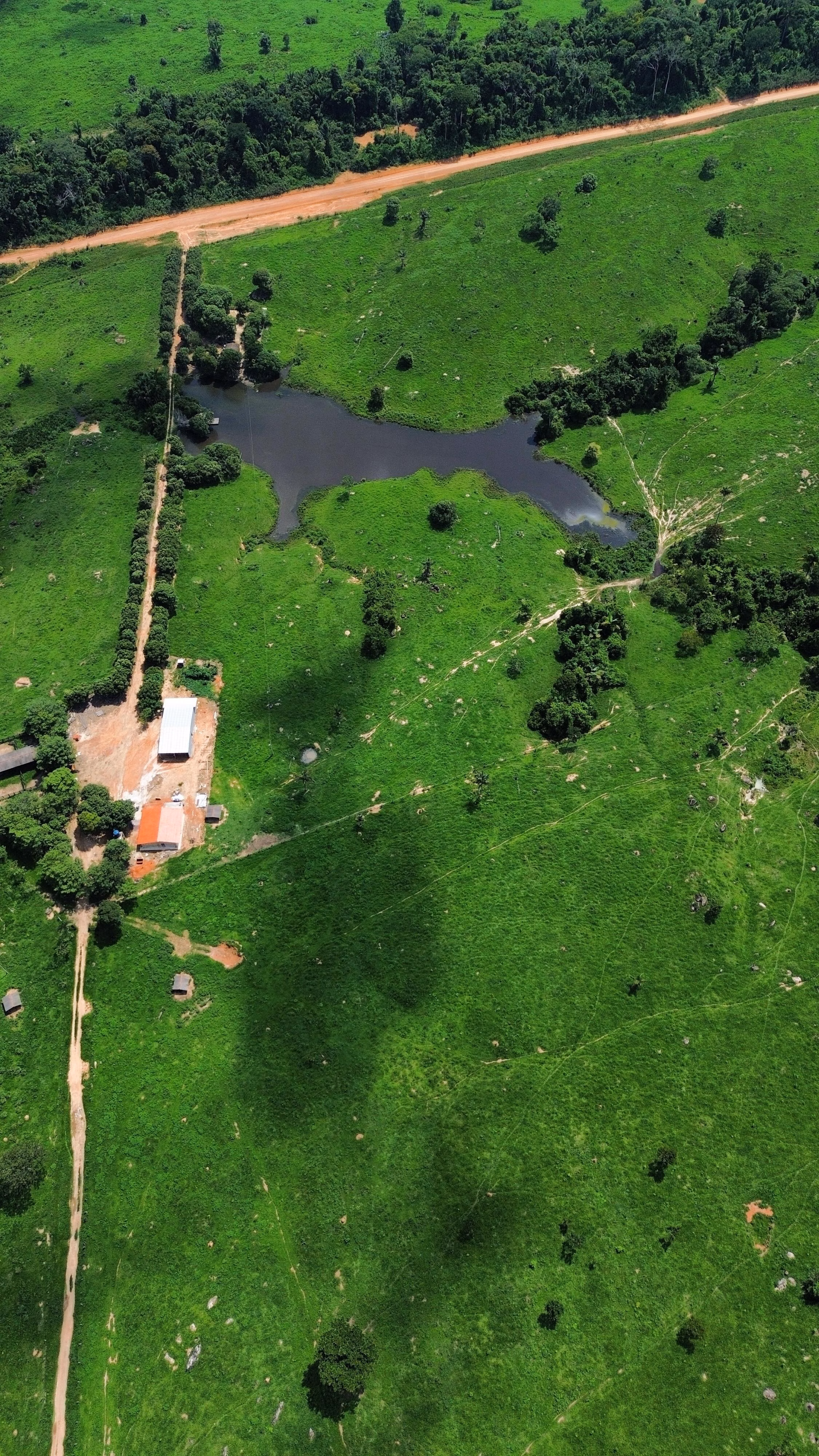 Fazenda de 1.045 ha em Apiacás, MT
