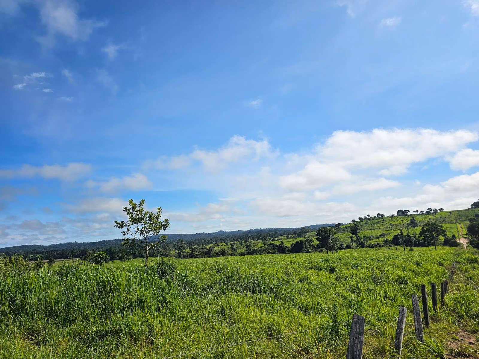 Fazenda de 1.045 ha em Apiacás, MT