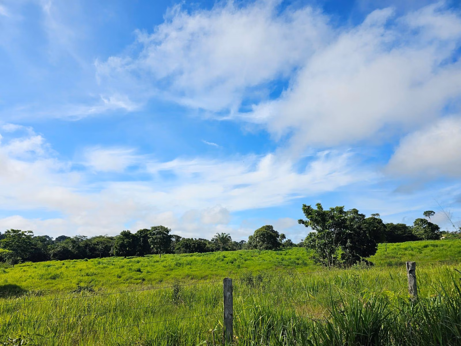 Fazenda de 1.045 ha em Apiacás, MT