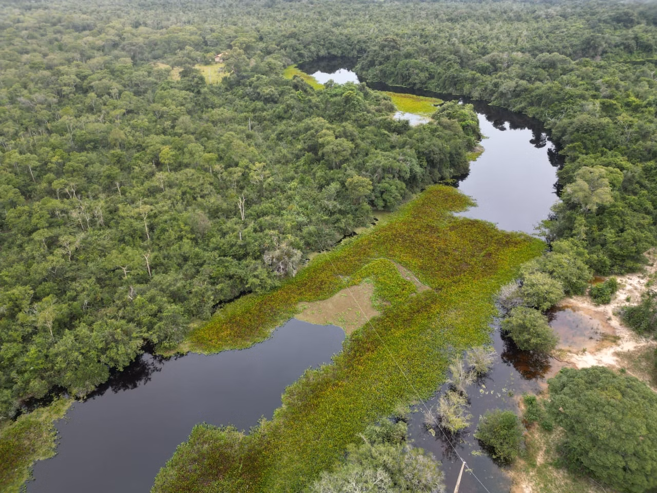 Farm of 2,884 acres in Poconé, MT, Brazil
