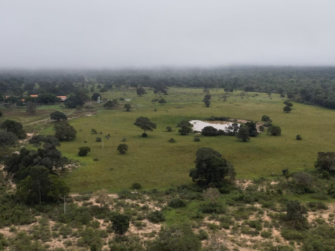 Farm of 2,884 acres in Poconé, MT, Brazil
