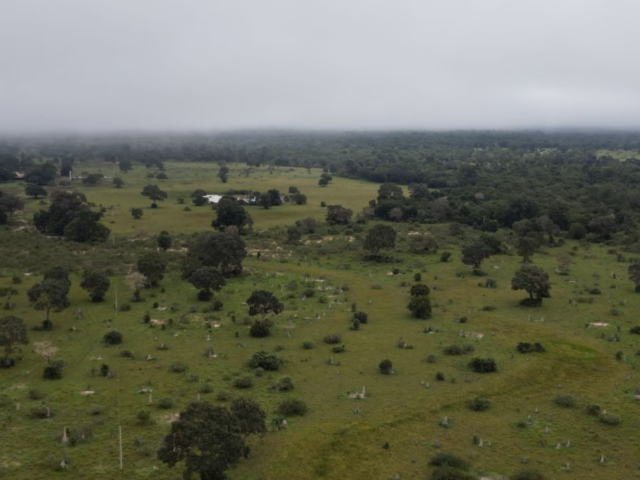 Farm of 2,884 acres in Poconé, MT, Brazil