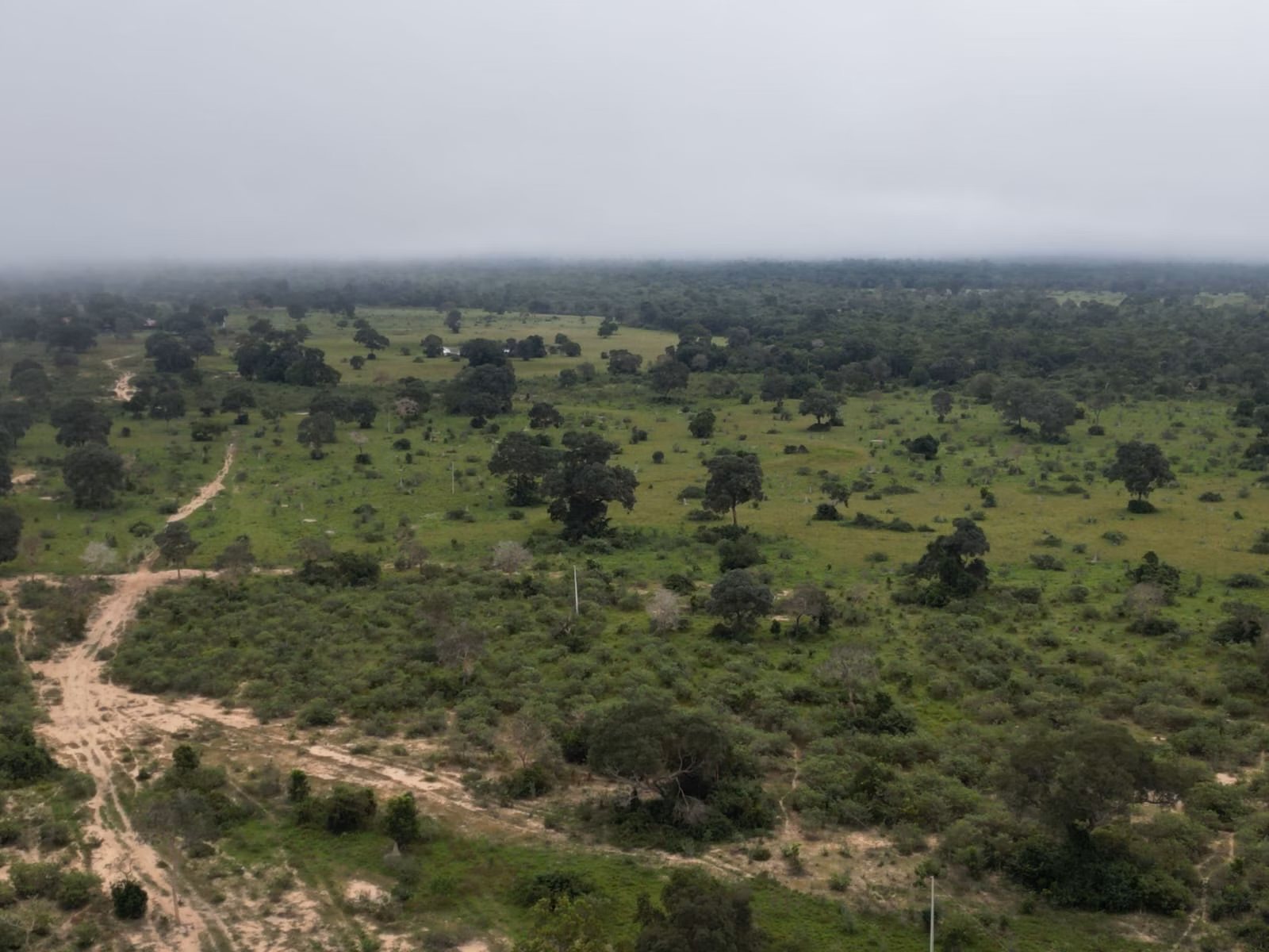 Farm of 2,884 acres in Poconé, MT, Brazil
