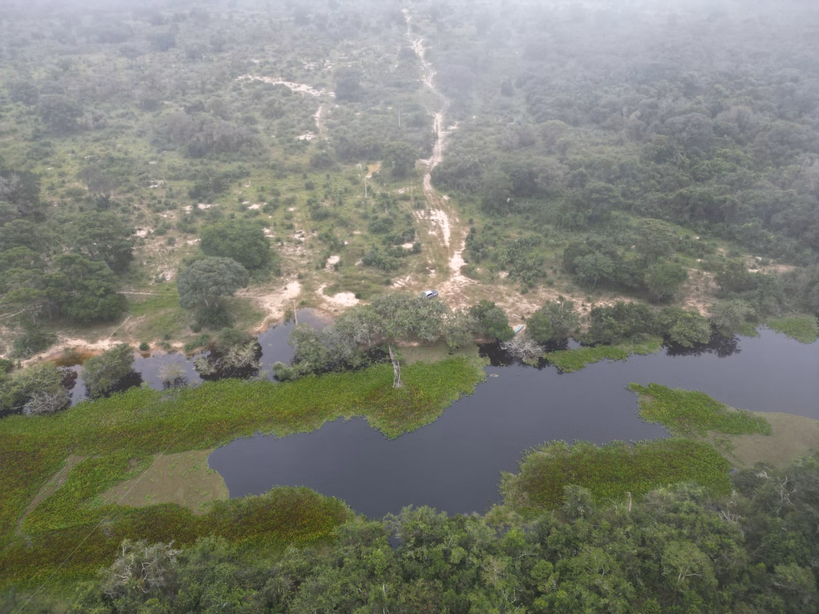 Farm of 2,884 acres in Poconé, MT, Brazil