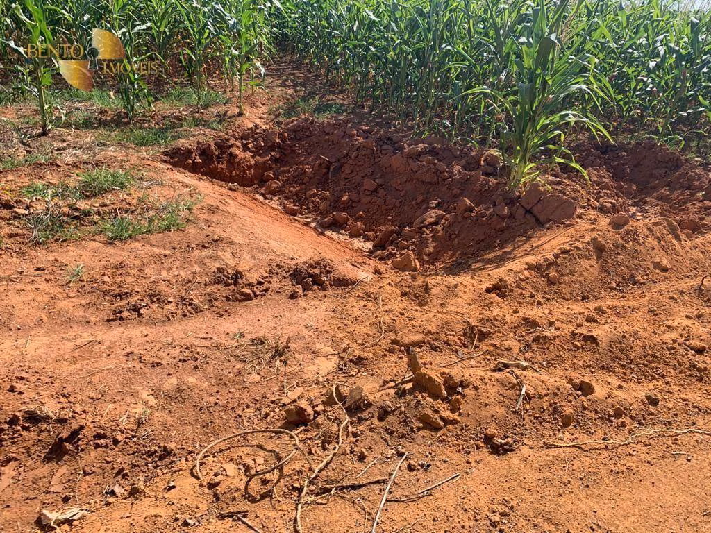 Fazenda de 2.500 ha em Nova Ubiratã, MT